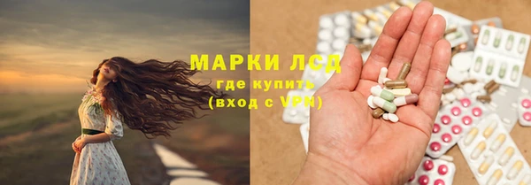стаф Майский