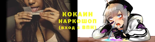стаф Майский