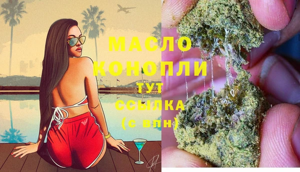 стаф Майский