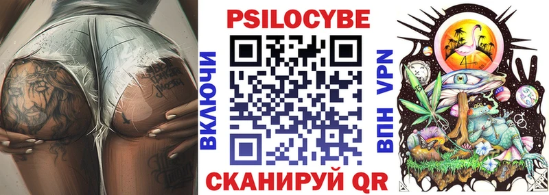 Купить где Горнозаводск Галлюциногенные грибы Psilocybe
